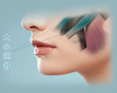 メディリフト 口コミ