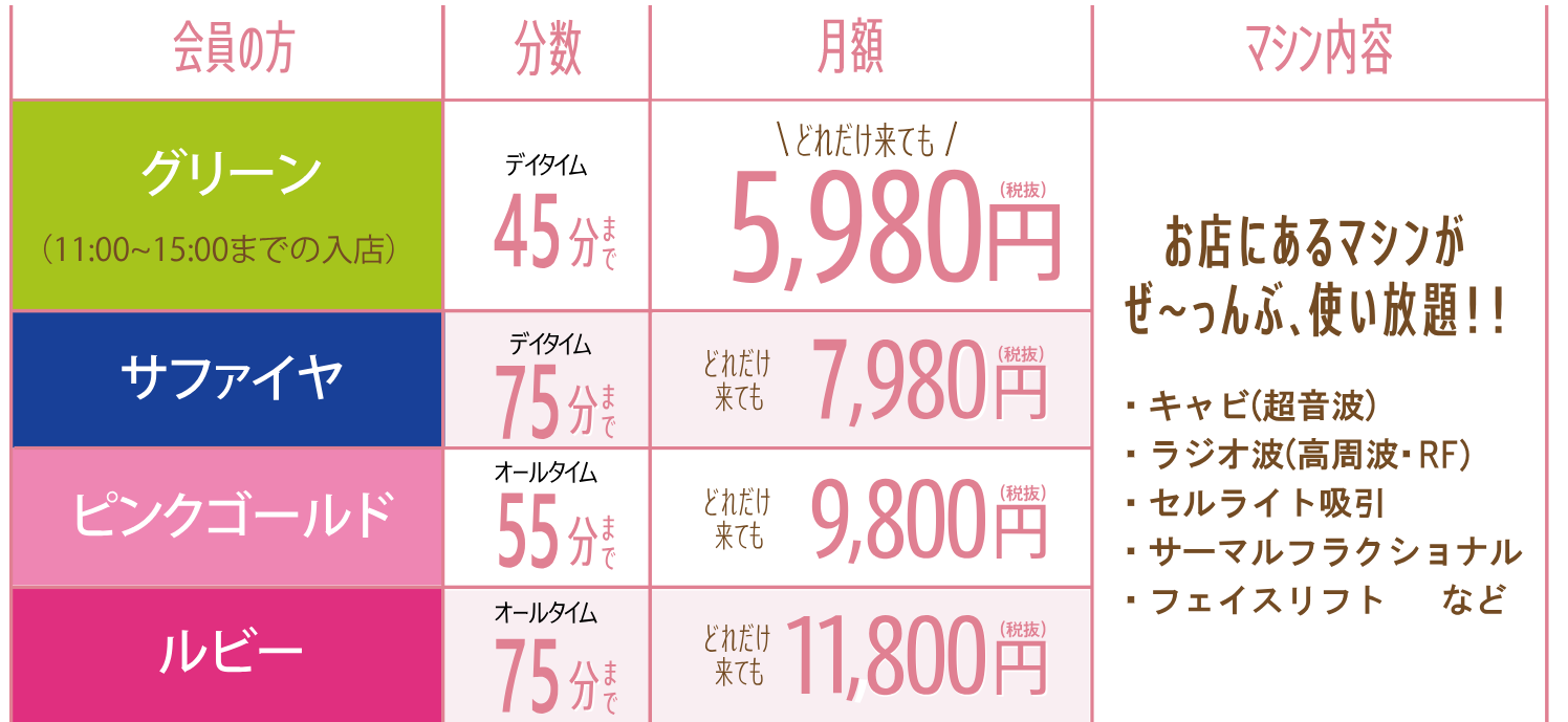 自分でエステの料金プラン